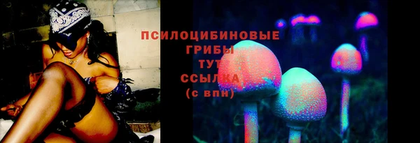 spice Алзамай