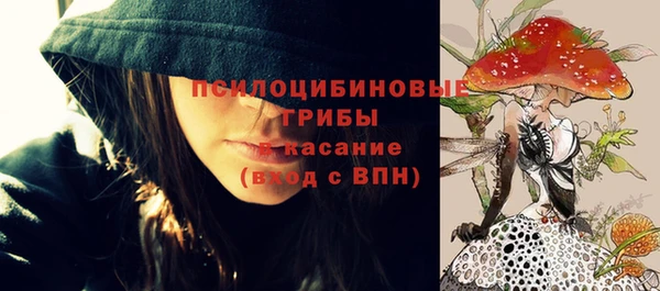 spice Алзамай