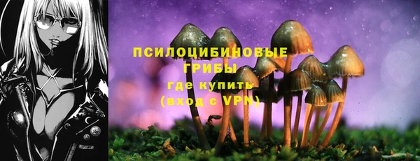 spice Алзамай