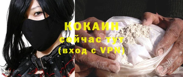 молекула духа Алексеевка