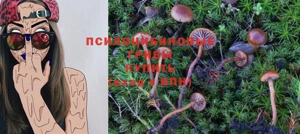 экстази Алексин