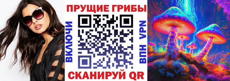 Псилоцибиновые грибы Psilocybe  ОМГ ОМГ ссылка  Шумиха 